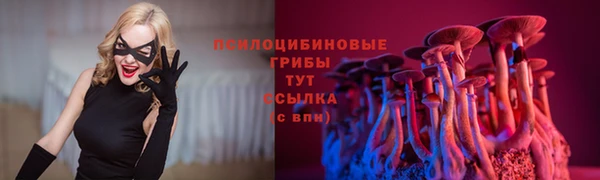 гидропоника Карталы