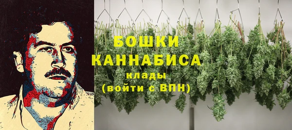 гидропоника Карталы