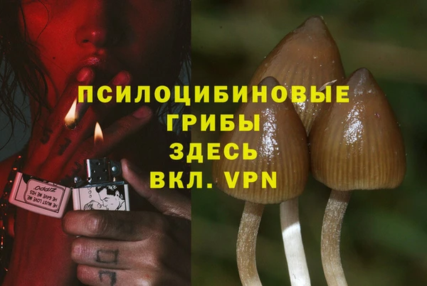 метадон Карпинск