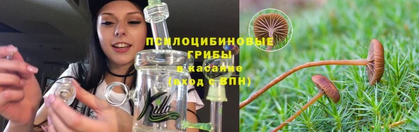 метадон Карпинск