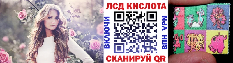 Купить где  Лодейное Поле  Марки NBOMe 1,8мг 