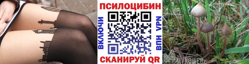 Галлюциногенные грибы мицелий  Купить где  Лодейное Поле 
